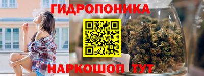 индика Комсомольск-на-Амуре