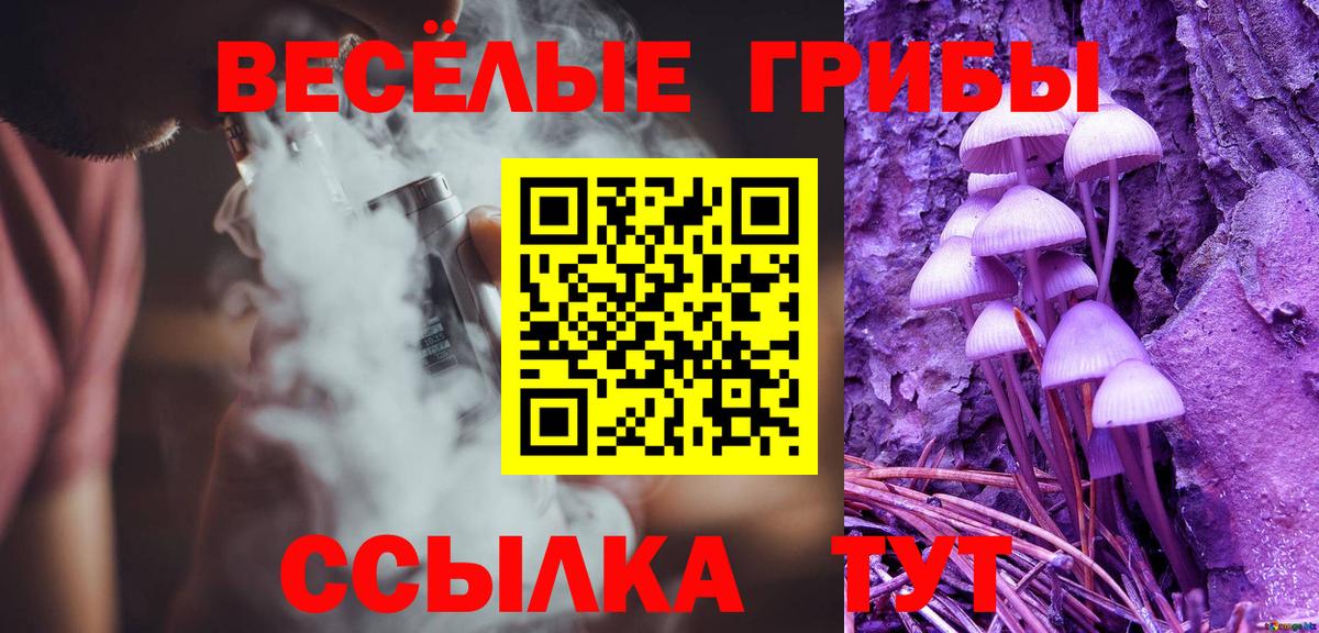 Галлюциногенные грибы Magic Shrooms  Вход с VPN  Электросталь  Псилоцибиновые грибы Cubensis 