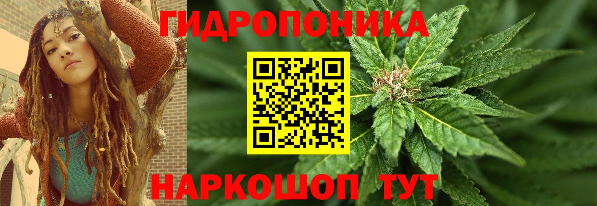 Каннабис White Widow Электросталь